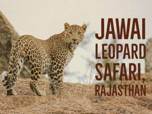 Weekend Gateway to Jawai from Delhi