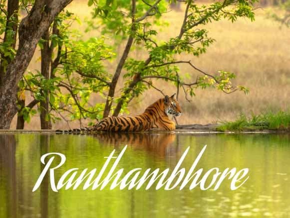 Weekend Gateway to Kota from Delhi